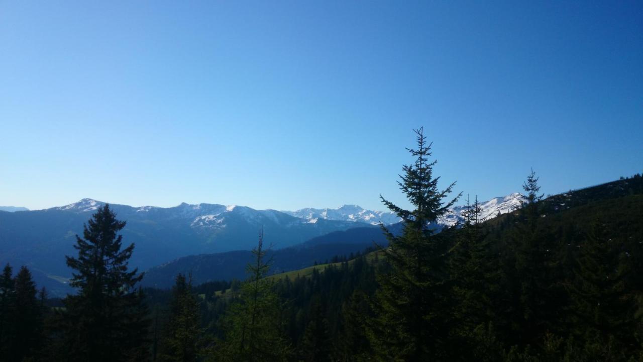 Berggasthof Schatzbergalm Thierbach Esterno foto