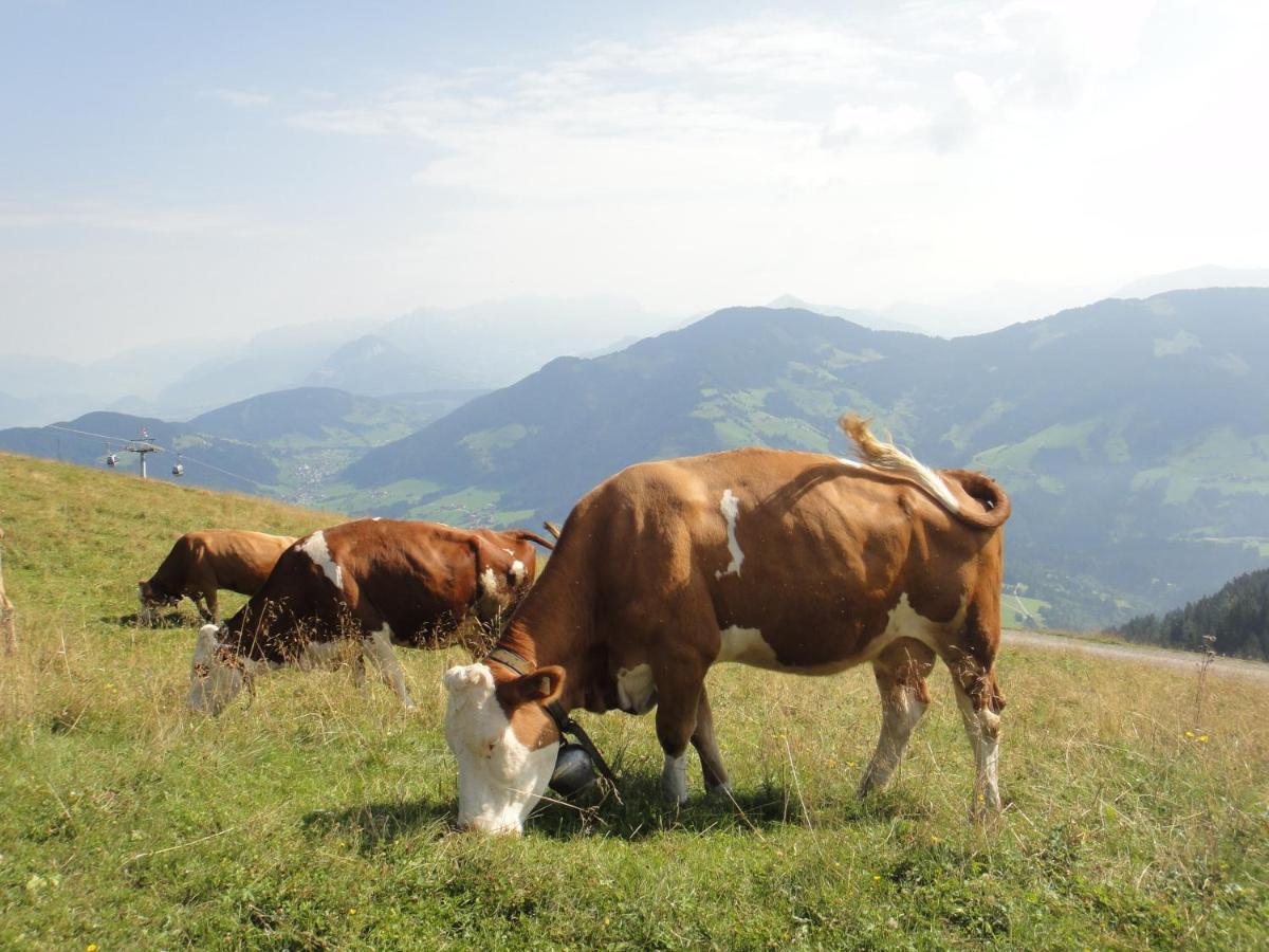Berggasthof Schatzbergalm Thierbach Esterno foto