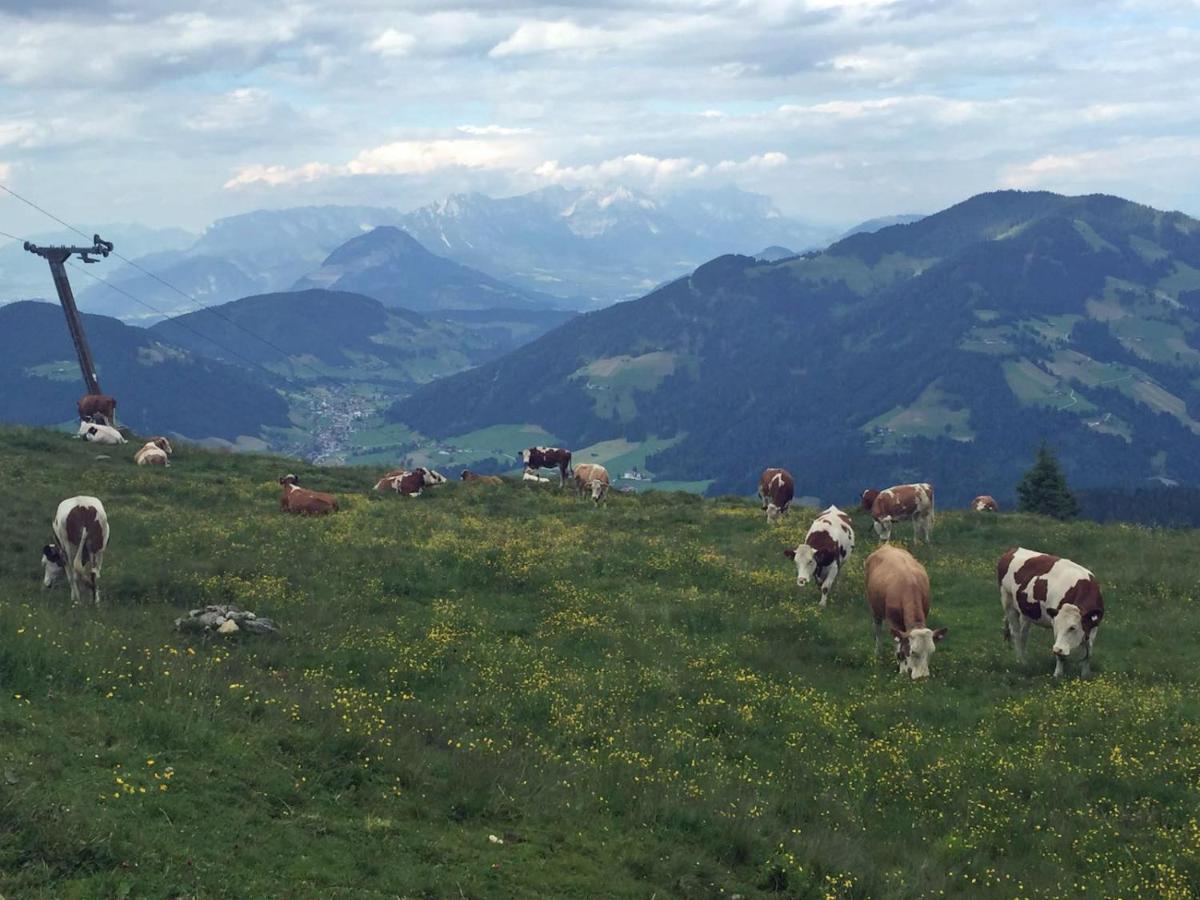 Berggasthof Schatzbergalm Thierbach Esterno foto