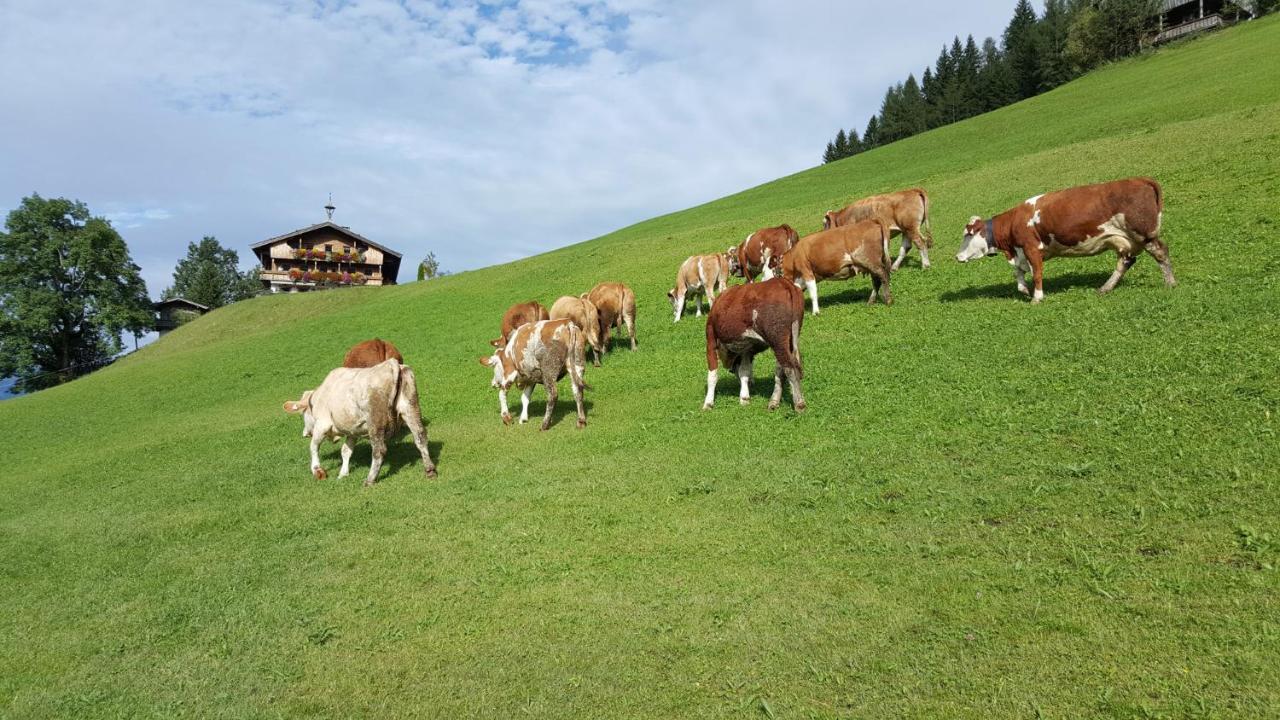 Berggasthof Schatzbergalm Thierbach Esterno foto