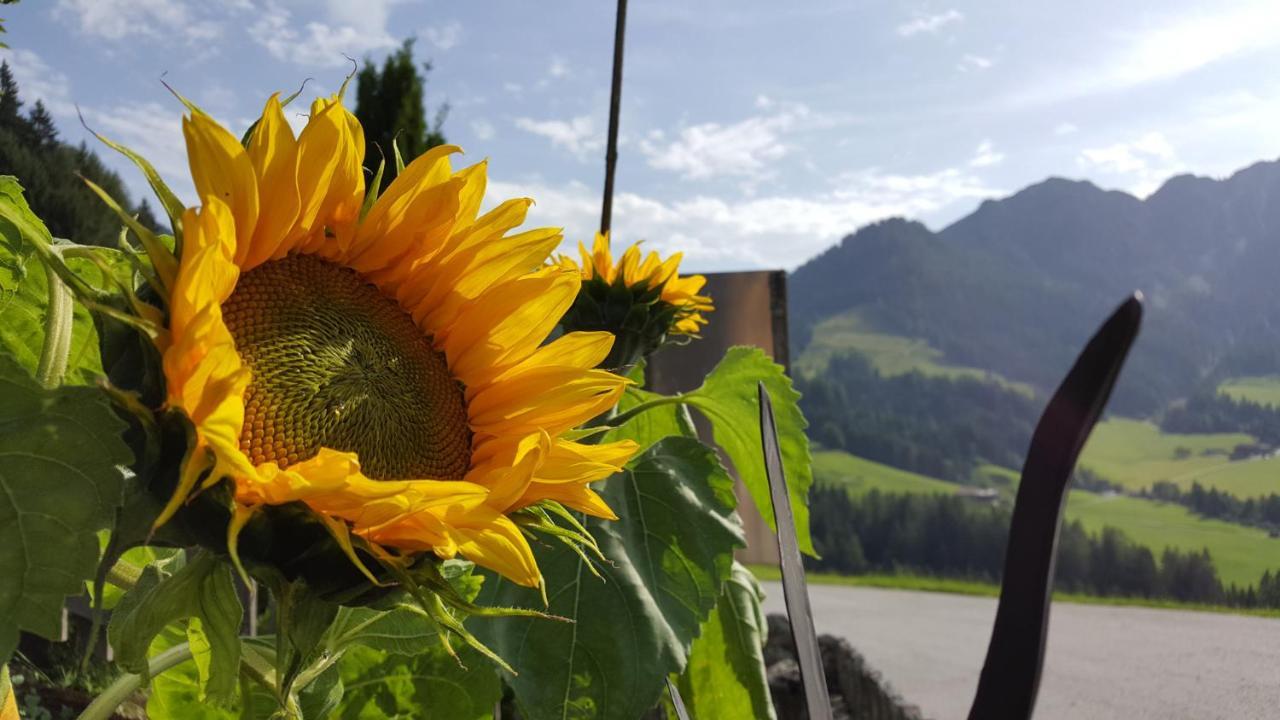 Berggasthof Schatzbergalm Thierbach Esterno foto