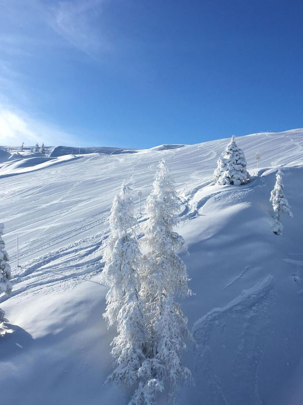 Berggasthof Schatzbergalm Thierbach Esterno foto